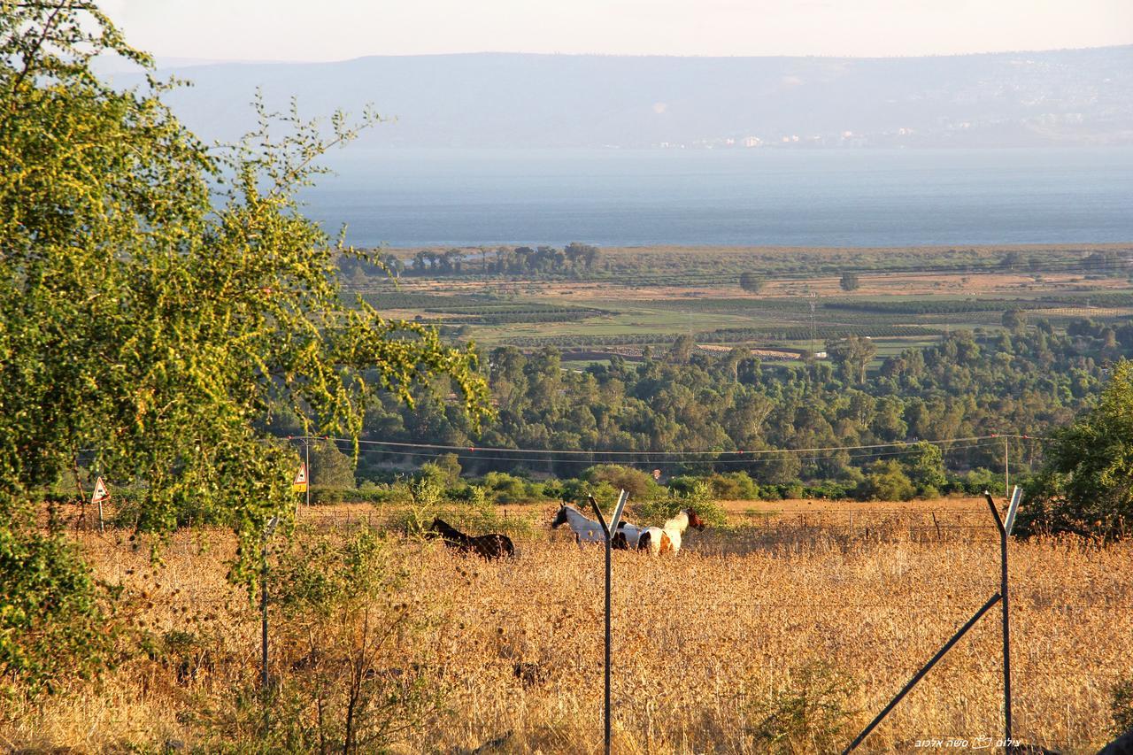 הוילה חד נס בקתות נוף כנרת מראה חיצוני תמונה